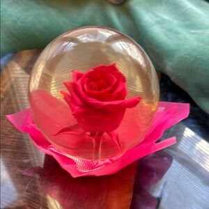 Elegant Red Rose Glass Dome